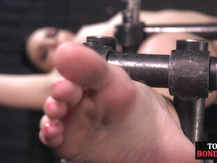 Inked BDSM body clothespins slut whipped by CMNF master
