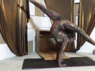 Body Painted Statue Contortion From A Box - Watch4Fetish